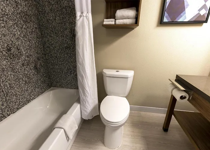 Sonesta Es Airport Extended 2* Lafayette