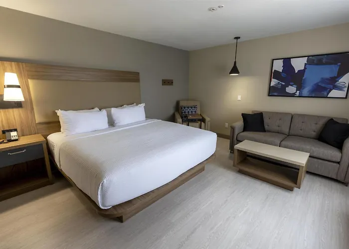 Sonesta Es Airport Extended Hotel Lafayette