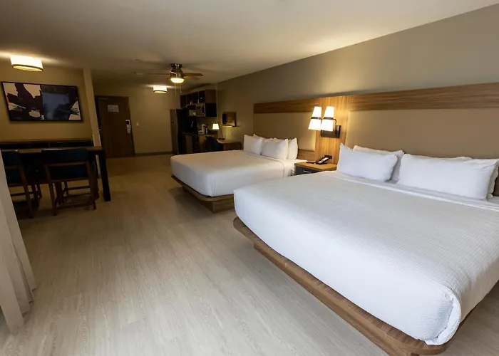 Sonesta Es Airport Extended Hotel Lafayette